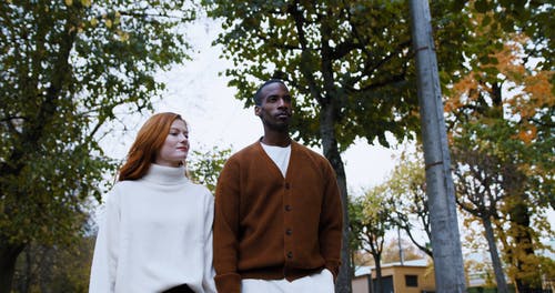 有关一对, 一起, 倚的免费素材视频