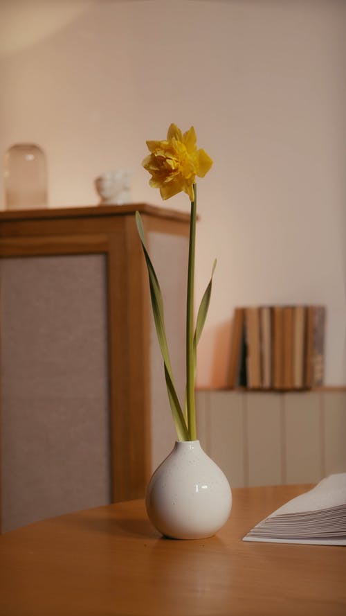 有关图书, 垂直视频, 工厂的免费素材视频