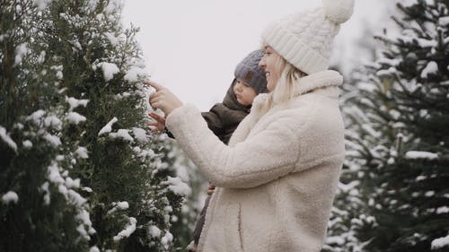 有关儿子, 冬季景观, 冬衣的免费素材视频