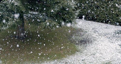 有关@户外, 冬季, 冷的免费素材视频