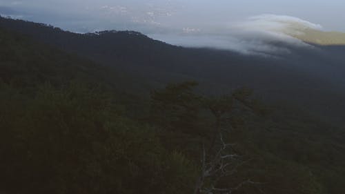 有关在云层之上, 多云的天空, 山的免费素材视频