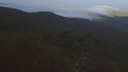 有关在云层之上, 多云的天空, 山的免费素材视频