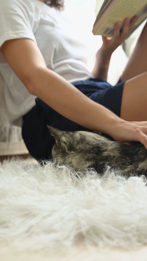 有关人, 垂直视频, 家畜的免费素材视频