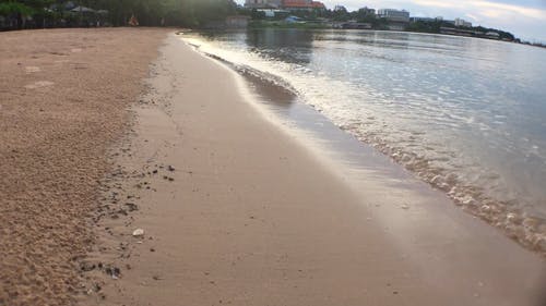 有关侧面图, 冷静, 到达的免费素材视频