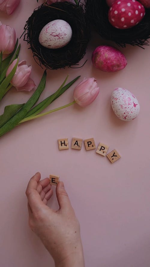 有关上漆的, 垂直视频, 巢的免费素材视频