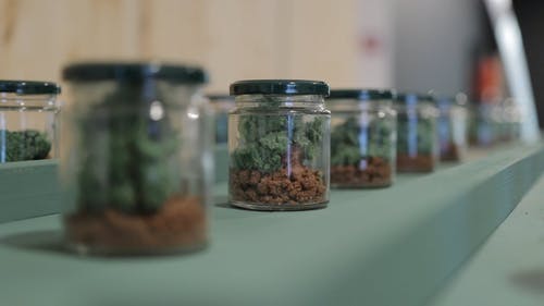 有关容器, 玻璃罐, 相机对焦的免费素材视频