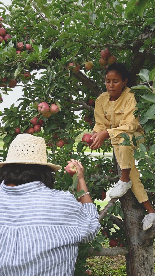 有关垂直视频, 太阳帽, 女孩的免费素材视频