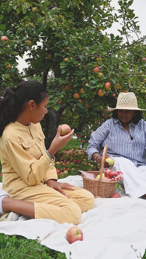 有关一起, 吃, 垂直视频的免费素材视频