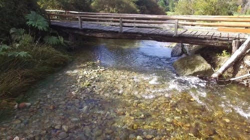 有关农业用地, 和平的, 天性的免费素材视频