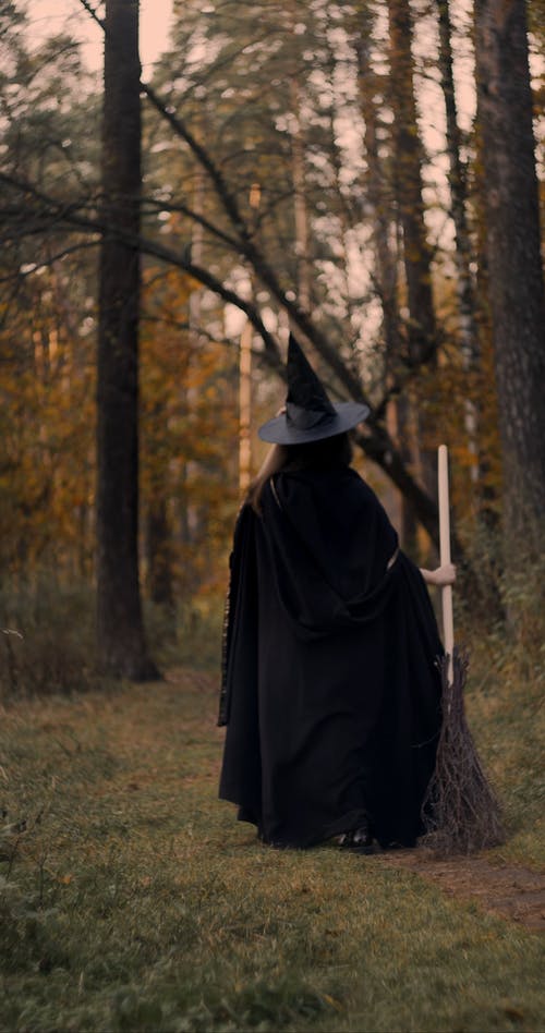 黑色的女巫，走在森林里 · 免费素材视频