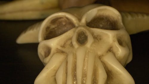 有关＃室内, 动物, 涂料的免费素材视频