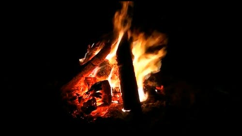有关大火, 木炭, 柴火的免费素材视频