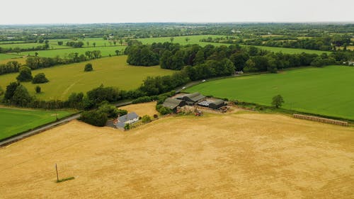 有关下田, 农业用地, 基尔肯尼爱尔兰的免费素材视频