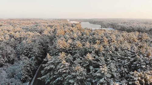 有关冬季, 冰冻的湖面, 景观的免费素材视频