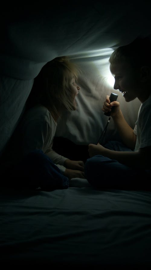 有关享受, 兄弟姐妹, 在毯子下的免费素材视频