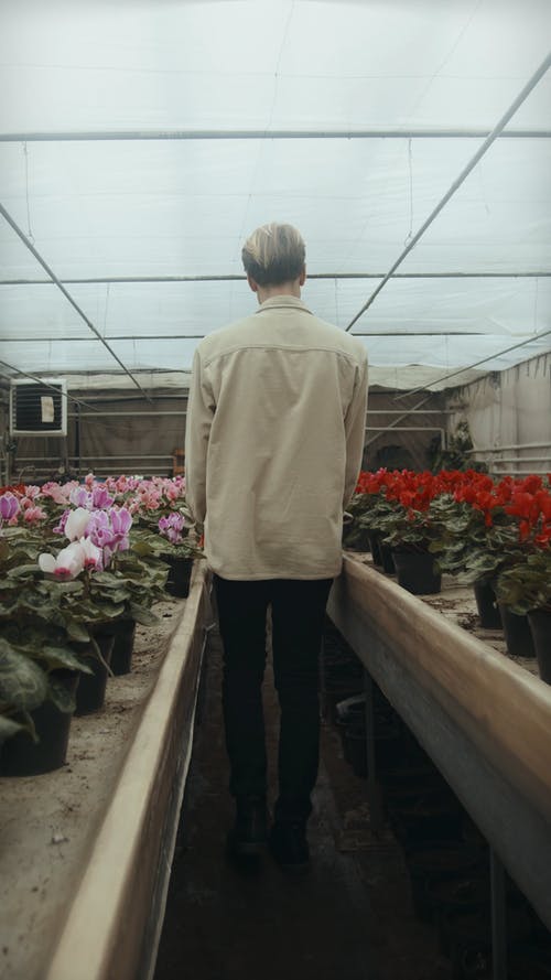 有关商业, 垂直视频, 室内的免费素材视频