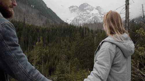 有关下雪的天气, 冒险, 冬季的免费素材视频