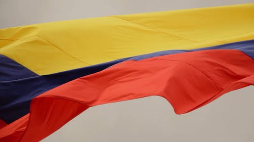 有关哥伦比亚, 多风, 摇曳的免费素材视频