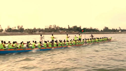 有关一起, 划桨, 划船的免费素材视频
