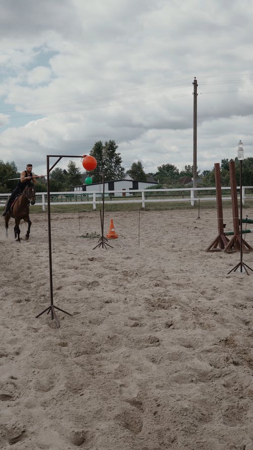 有关manege, 动物, 围栏的免费素材视频