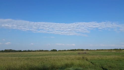 有关农村, 天性, 天空的免费素材视频