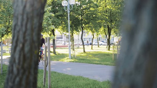 有关人, 公园, 户外的免费素材视频