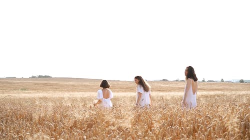 有关女性, 日光, 朋友的免费素材视频