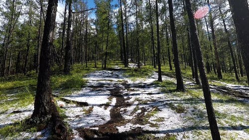 有关公路旅行, 增长, 大雪覆盖的免费素材视频