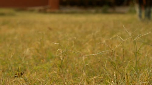 有关@户外, 人, 塑料袋的免费素材视频