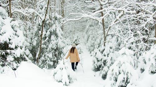 有关下雪, 冒险, 冬季的免费素材视频