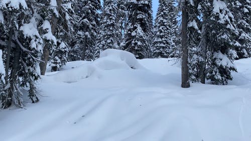 有关休闲, 冬季, 冰的免费素材视频