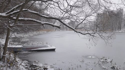 有关下雪的, 冰, 冰镇的免费素材视频