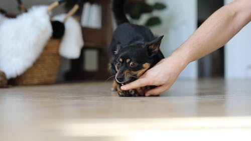 有关低角度拍摄, 在地上, 室内的免费素材视频