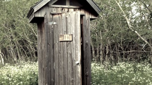 有关forestpark, 公共厕所, 公共用途的免费素材视频