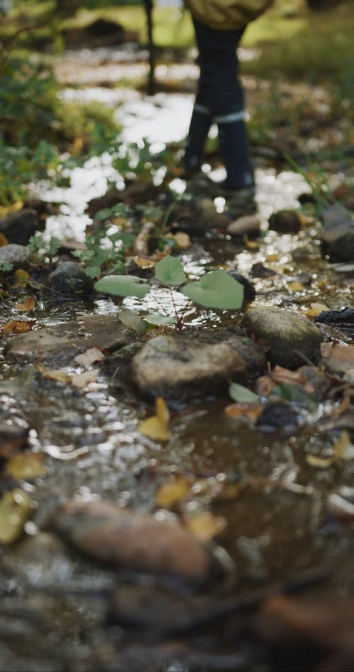 有关地面射击, 垂直视频, 天性的免费素材视频