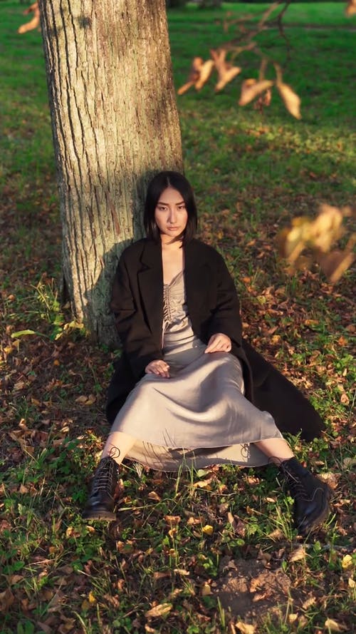 有关公园, 冷静, 和平的的免费素材视频