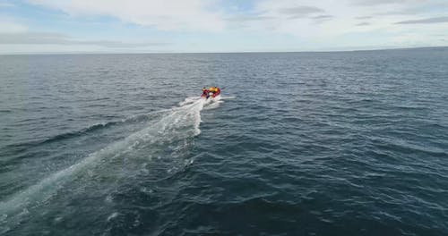 有关外海, 天性, 户外的免费素材视频