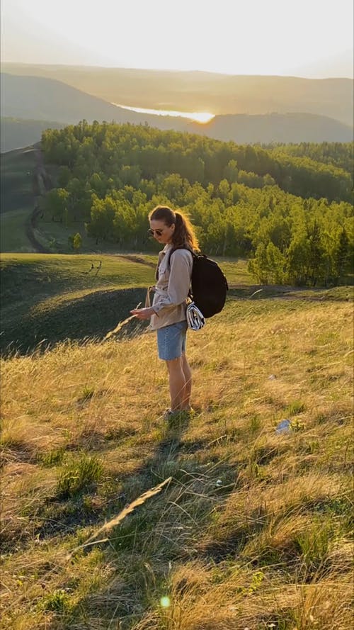 有关冒险, 垂直视频, 天性的免费素材视频