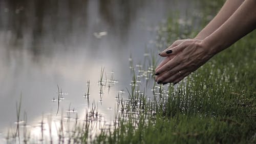 有关冷静, 宁静, 手的免费素材视频
