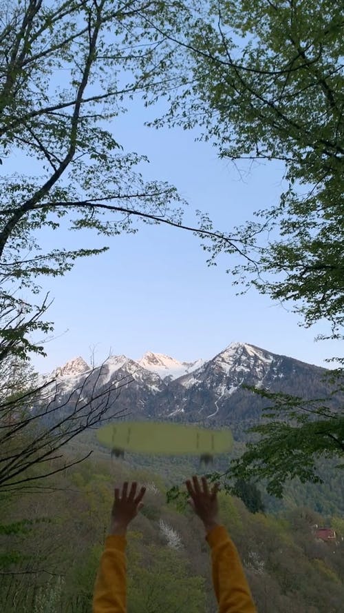 有关便士板, 向上丢, 垂直视频的免费素材视频