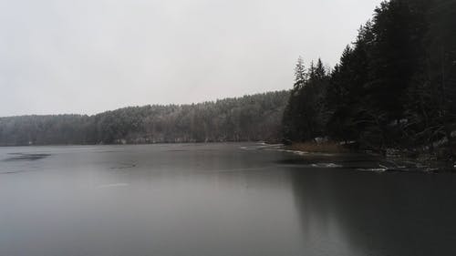 有关下雪的, 冬天的背景, 冬季的免费素材视频