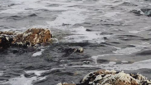 有关天性, 岩石海岸, 户外的免费素材视频