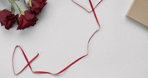 有关优雅, 微妙, 心的免费素材视频