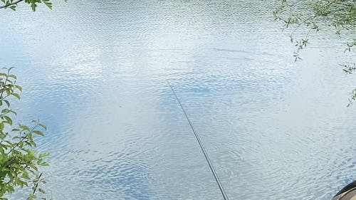 有关人, 坐, 树木的免费素材视频