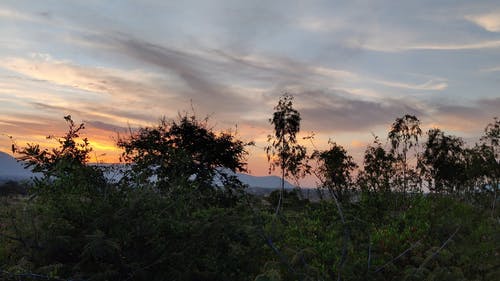 有关剪影, 天性, 天空的免费素材视频