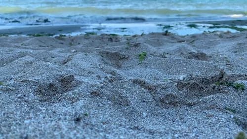 有关岸边, 波浪崩溃, 海滩的免费素材视频
