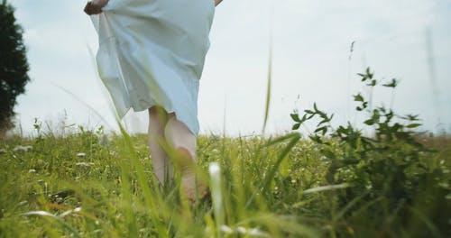 有关夏天, 天性, 女人的免费素材视频