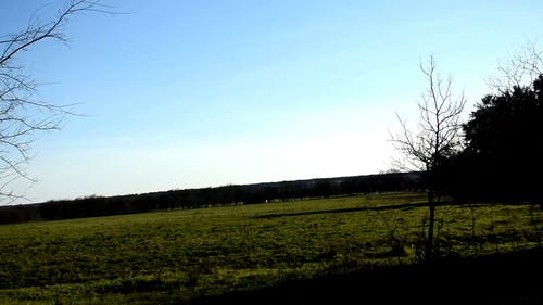 有关农业领域, 天性, 天空的免费素材视频