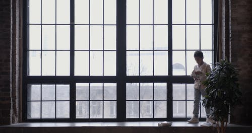 有关图书, 室内植物, 工厂的免费素材视频