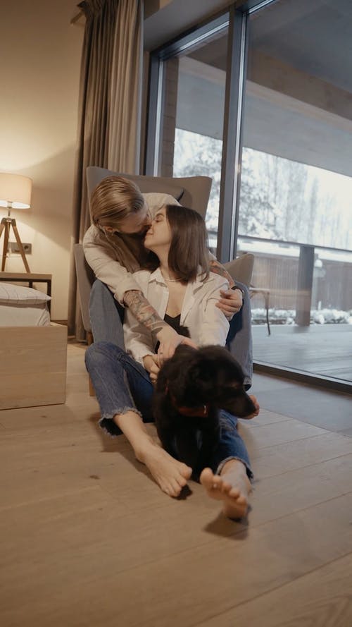 有关一对, 人, 人类最好的朋友的免费素材视频